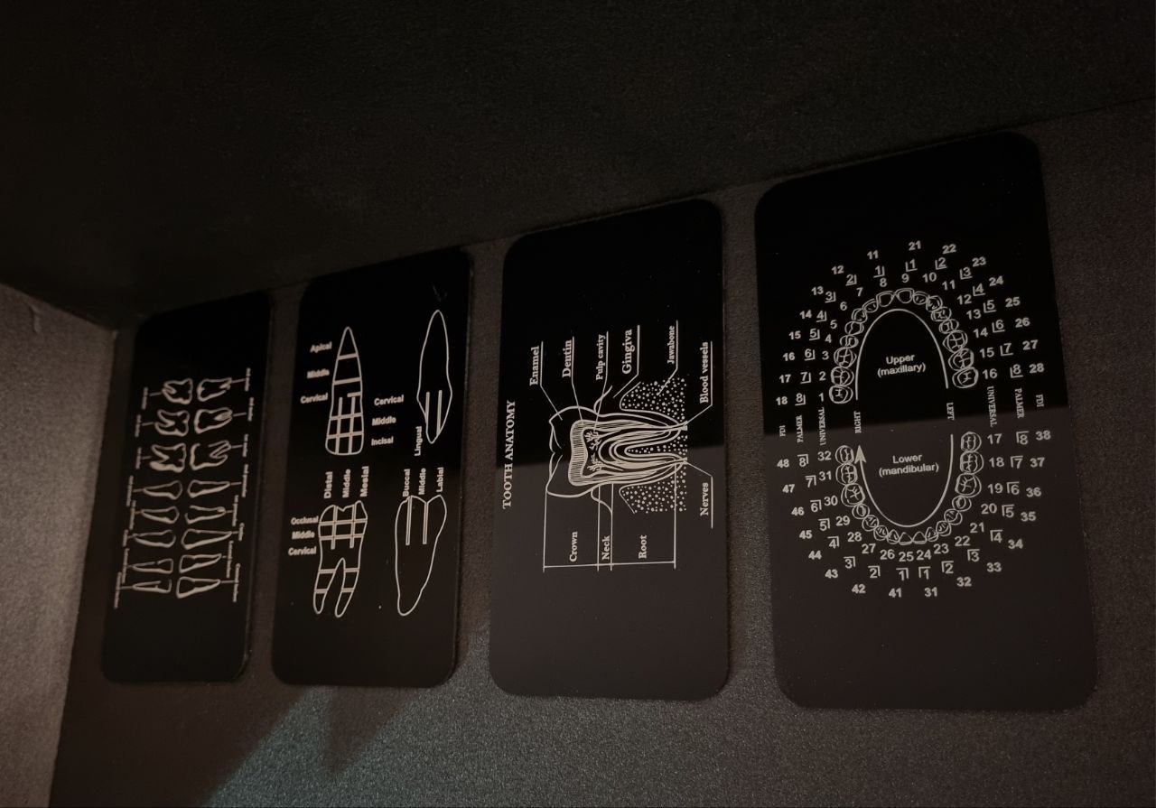 تمپلیت دندان های خلفی تمپلیت دندان های خلفی