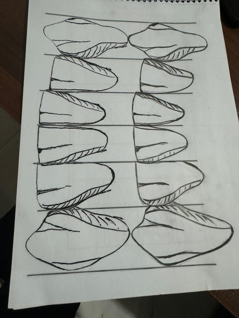 دفتر طراحی آناتومی Sadikov Islambek دفتر طراحی آناتومی Sadikov Islambek