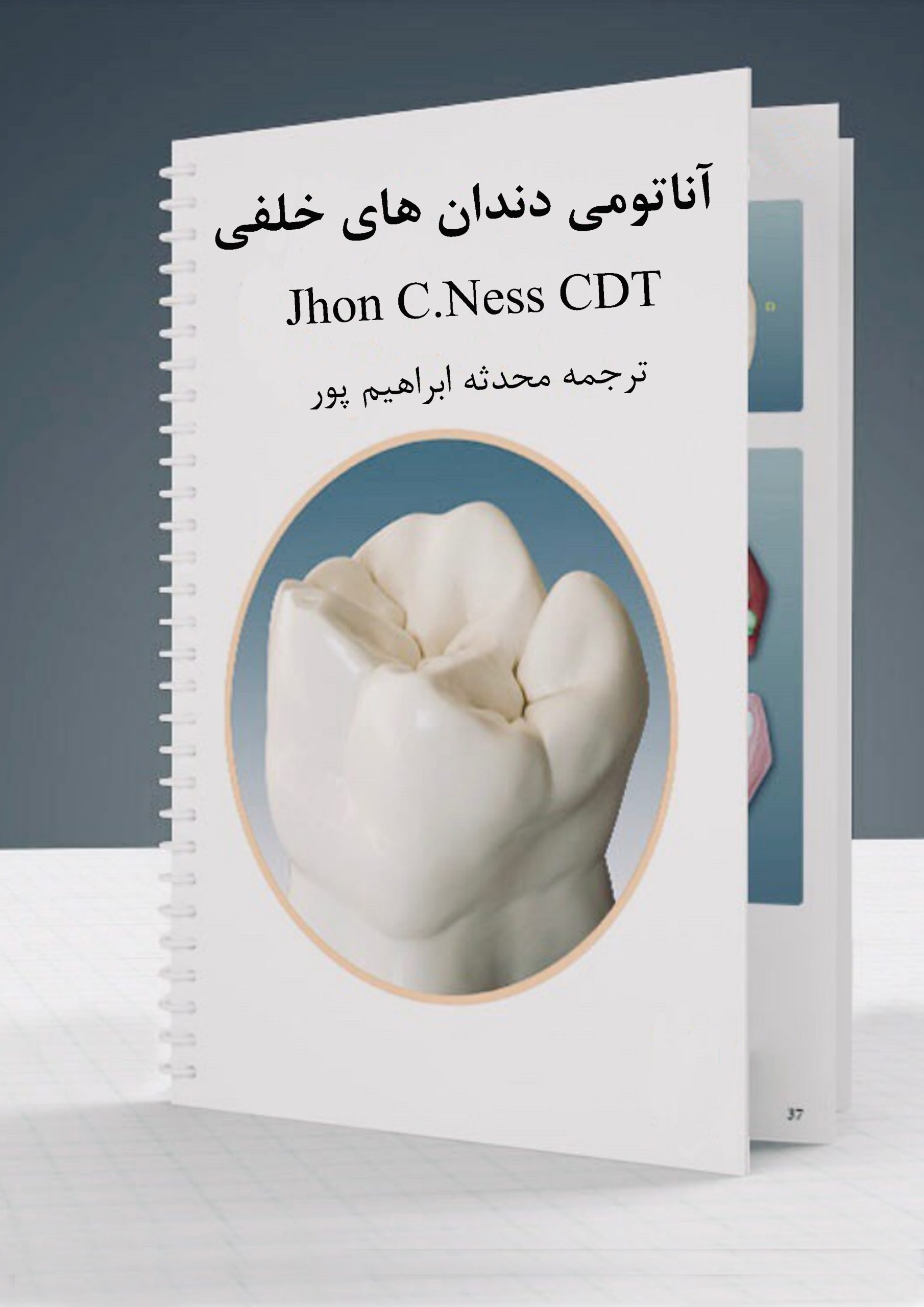 کتاب الکترونیکی آناتومی دندان های خلفی کتاب الکترونیکی آناتومی دندان های خلفی